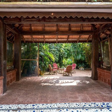 Bougainvillea Guest House Кандолім Екстер'єр фото