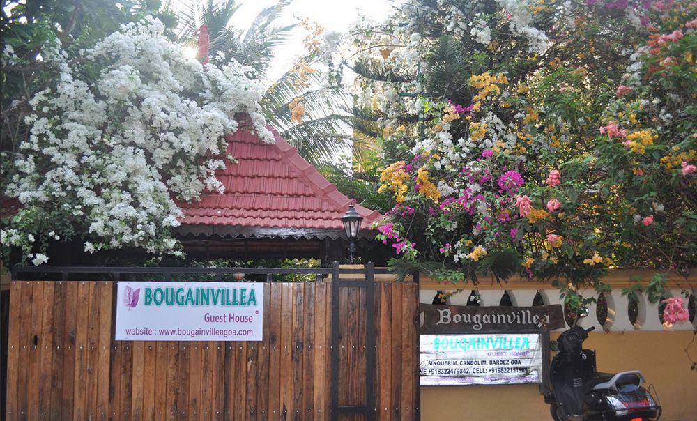 Bougainvillea Guest House Кандолім Екстер'єр фото